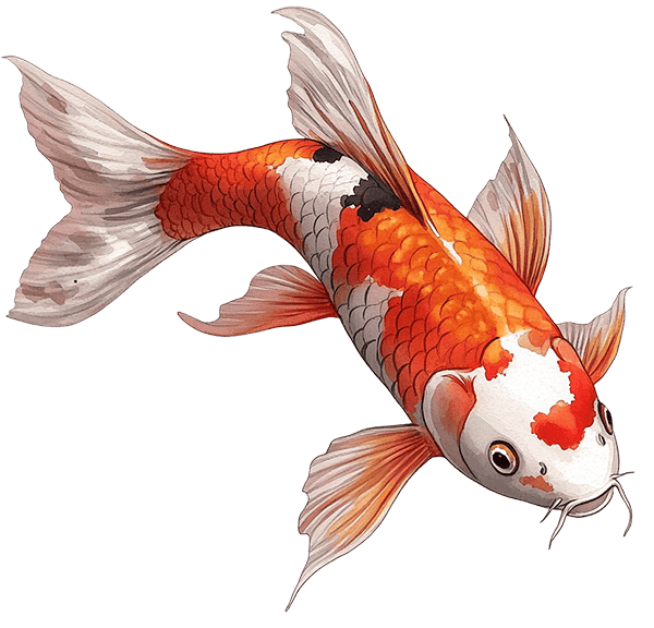 koi
